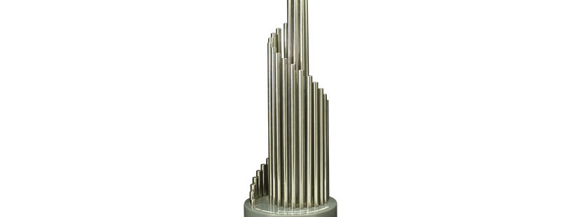 SERBEST ELMAS SEGMENTİ SKORLAMA İKİNCİSİ / 2010