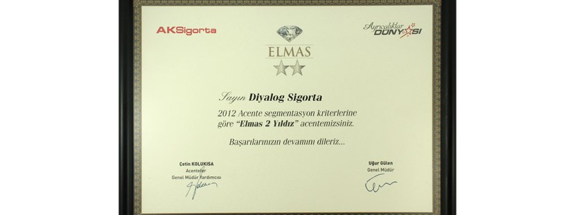 ACENTE SEGMANTASYON KRİTERLERİ : ELMAS 2 YILDIZ ACENTELİĞİ ÖDÜLÜ / 2012
