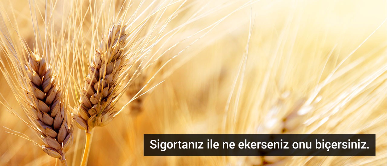 ziraat-sigortasi